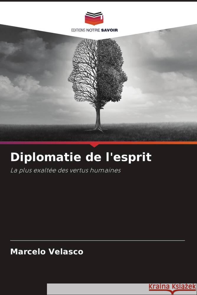 Diplomatie de l'esprit Velasco, Marcelo 9786208255848