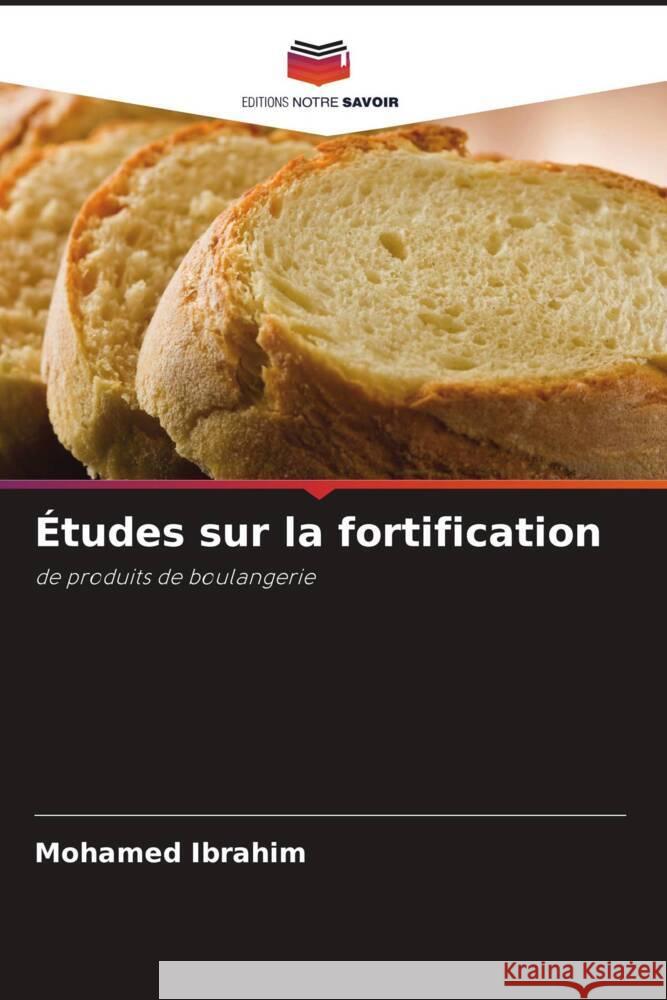 Études sur la fortification Ibrahim, Mohamed 9786208270315