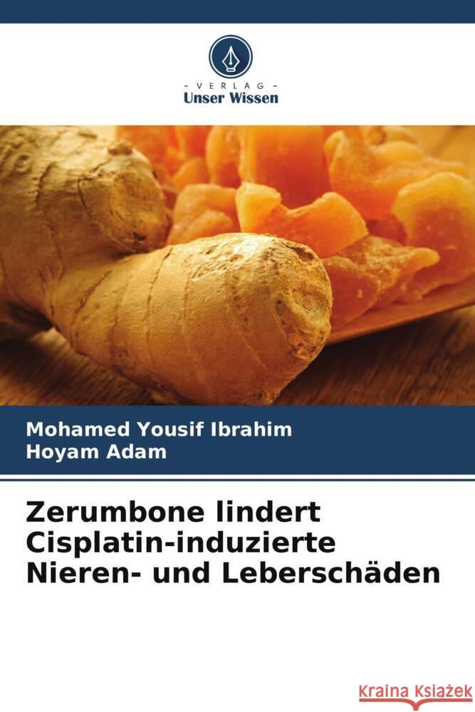 Zerumbone lindert Cisplatin-induzierte Nieren- und Leberschäden Ibrahim, Mohamed Yousif, Adam, Hoyam 9786208279806