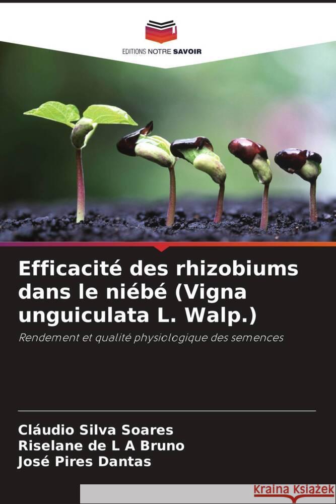 Efficacité des rhizobiums dans le niébé (Vigna unguiculata L. Walp.) Silva Soares, Cláudio, de L A Bruno, Riselane, Pires Dantas, José 9786208281311