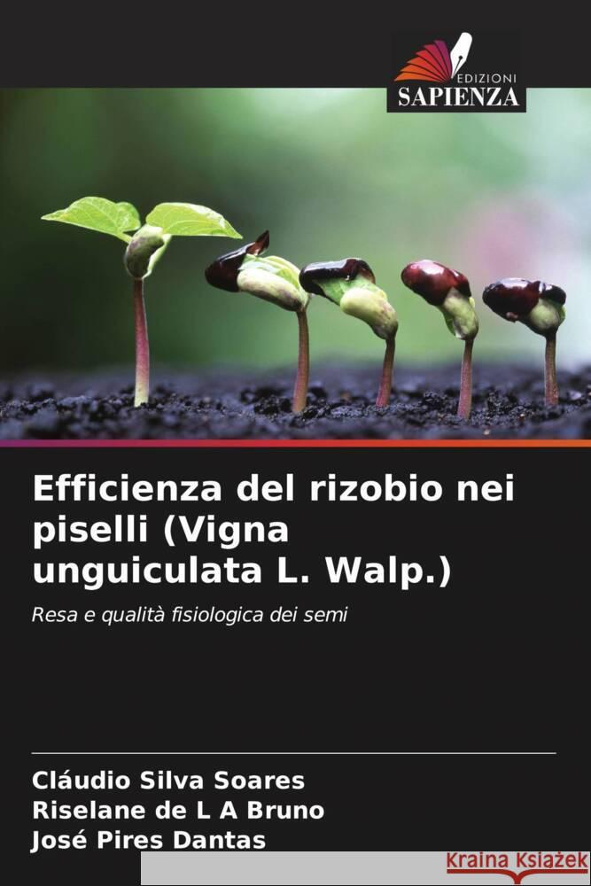 Efficienza del rizobio nei piselli (Vigna unguiculata L. Walp.) Silva Soares, Cláudio, de L A Bruno, Riselane, Pires Dantas, José 9786208281335