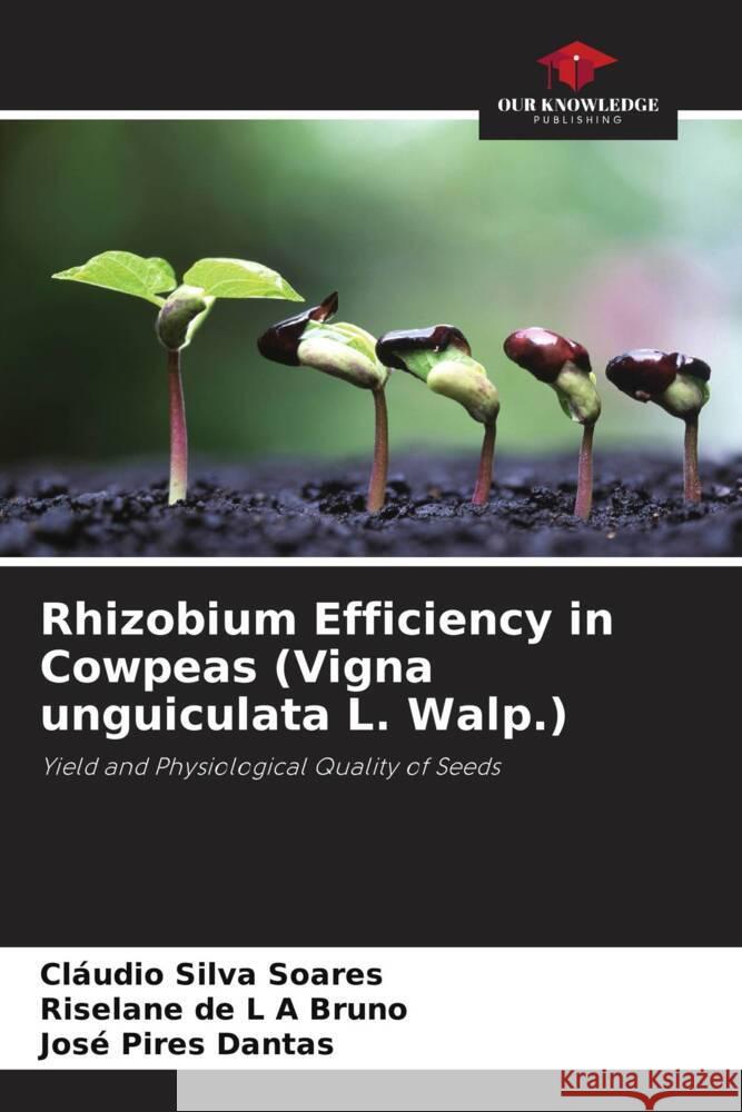 Rhizobium Efficiency in Cowpeas (Vigna unguiculata L. Walp.) Silva Soares, Cláudio, de L A Bruno, Riselane, Pires Dantas, José 9786208281342