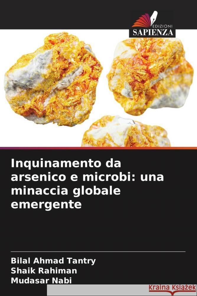 Inquinamento da arsenico e microbi: una minaccia globale emergente Tantry, Bilal Ahmad, Rahiman, Shaik, Nabi, Mudasar 9786208285029