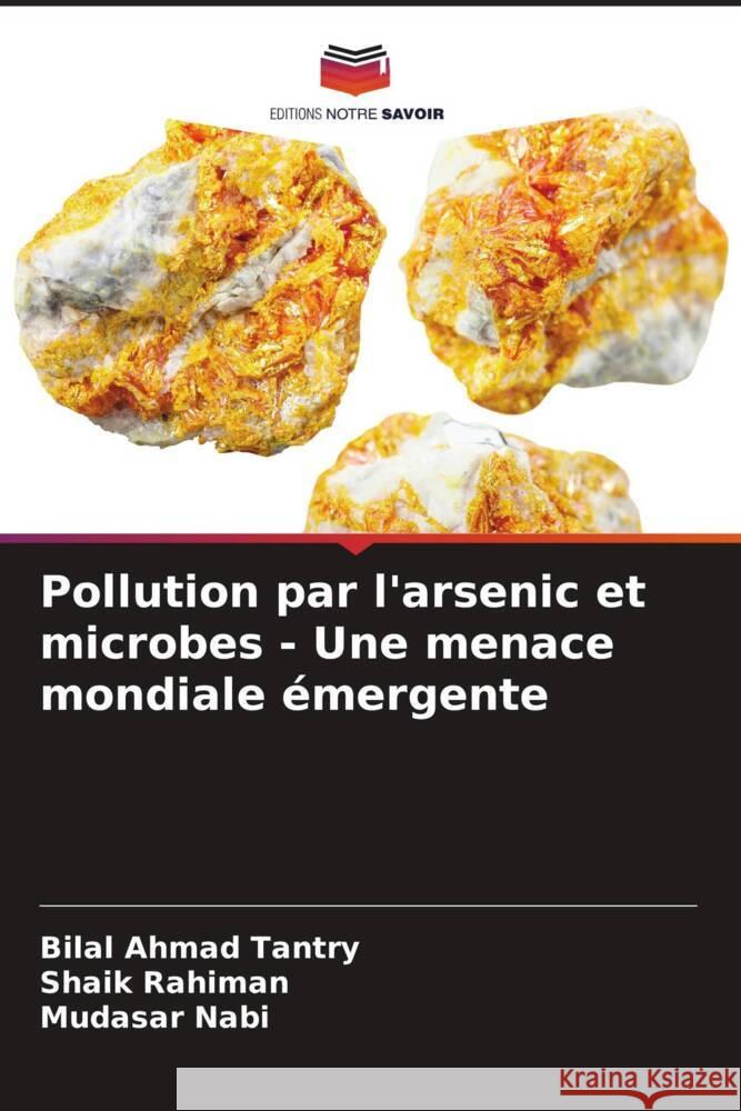 Pollution par l'arsenic et microbes - Une menace mondiale émergente Tantry, Bilal Ahmad, Rahiman, Shaik, Nabi, Mudasar 9786208285067