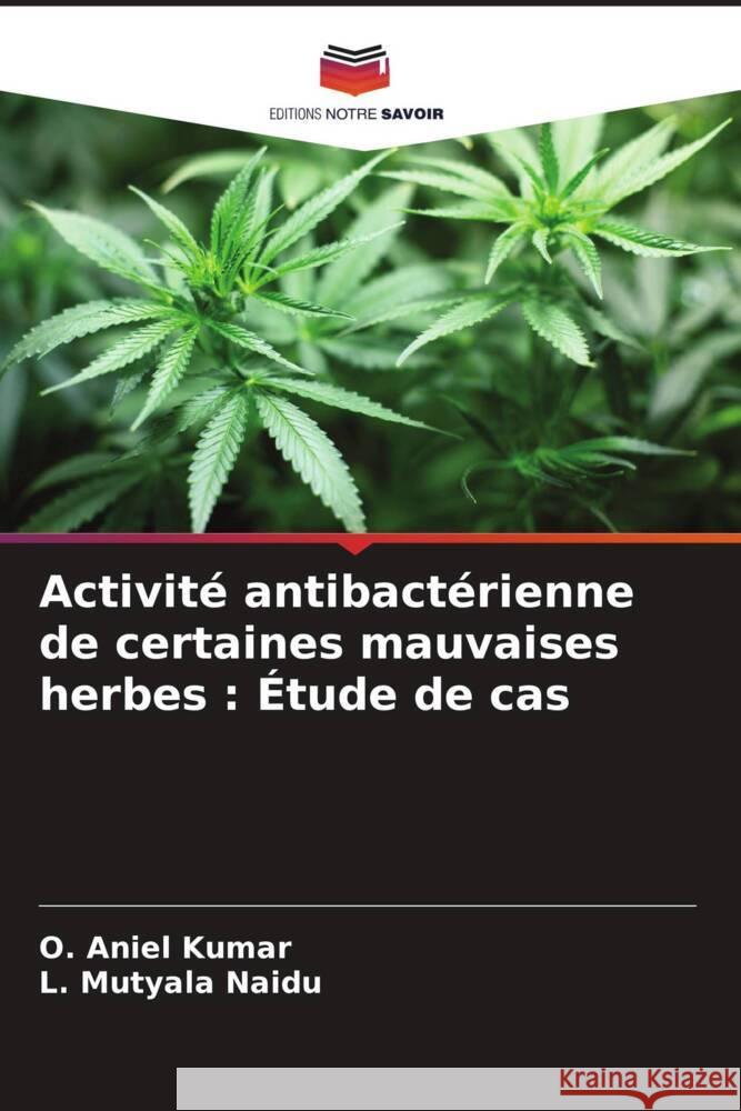 Activité antibactérienne de certaines mauvaises herbes : Étude de cas Aniel Kumar, O., Mutyala Naidu, L. 9786208290955 Editions Notre Savoir