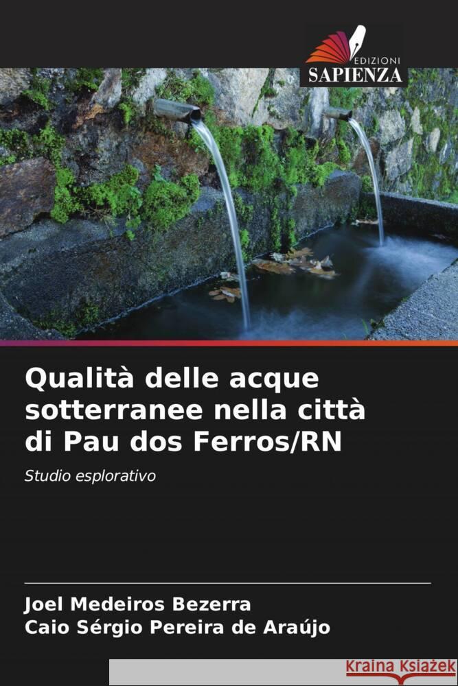 Qualità delle acque sotterranee nella città di Pau dos Ferros/RN Bezerra, Joel Medeiros, de Araújo, Caio Sérgio Pereira 9786208291891 Edizioni Sapienza