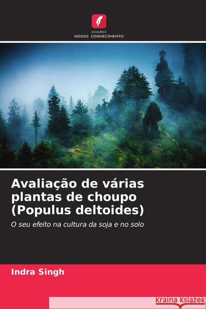 Avaliação de várias plantas de choupo (Populus deltoides) Singh, Indra 9786208294489