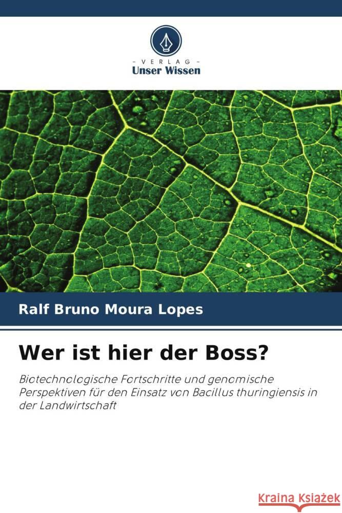 Wer ist hier der Boss? Moura Lopes, Ralf Bruno 9786208310851