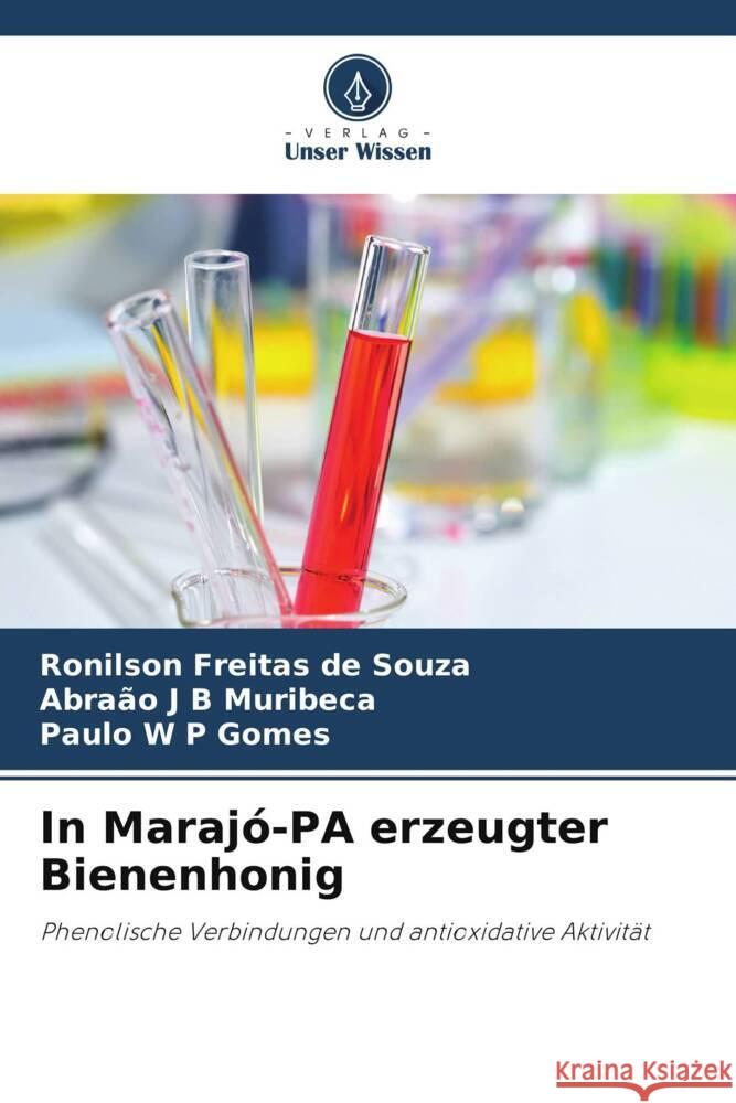 In Marajó-PA erzeugter Bienenhonig de Souza, Ronilson Freitas, Muribeca, Abraão J B, Gomes, Paulo W P 9786208315702