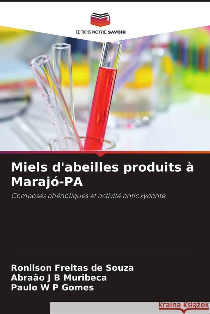 Miels d'abeilles produits à Marajó-PA de Souza, Ronilson Freitas, Muribeca, Abraão J B, Gomes, Paulo W P 9786208315719