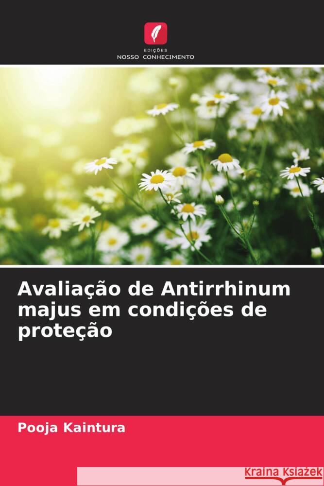 Avaliação de Antirrhinum majus em condições de proteção Kaintura, Pooja 9786208316648