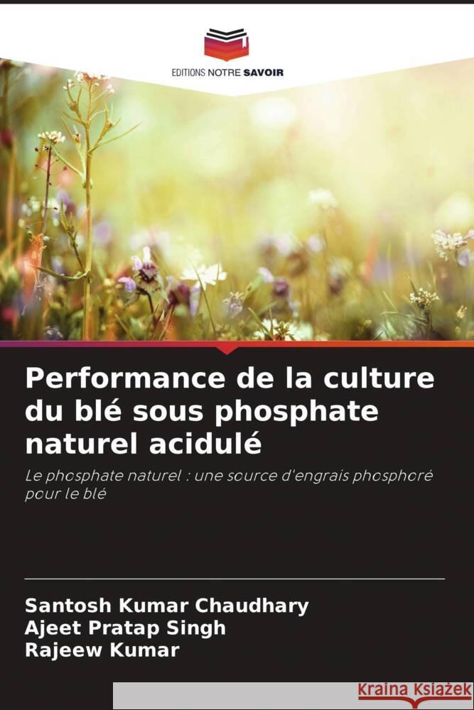 Performance de la culture du blé sous phosphate naturel acidulé Chaudhary, Santosh Kumar, Singh, Ajeet Pratap, Kumar, Rajeew 9786208326319