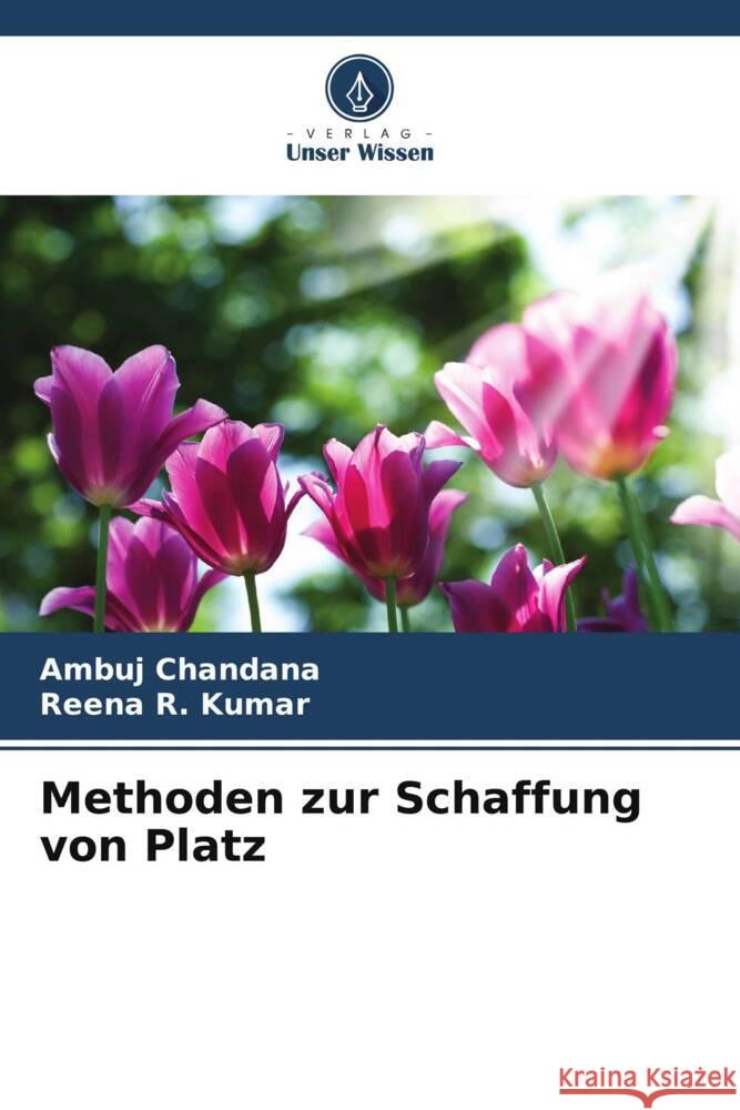 Methoden zur Schaffung von Platz Chandana, Ambuj, Kumar, Reena R. 9786208332082