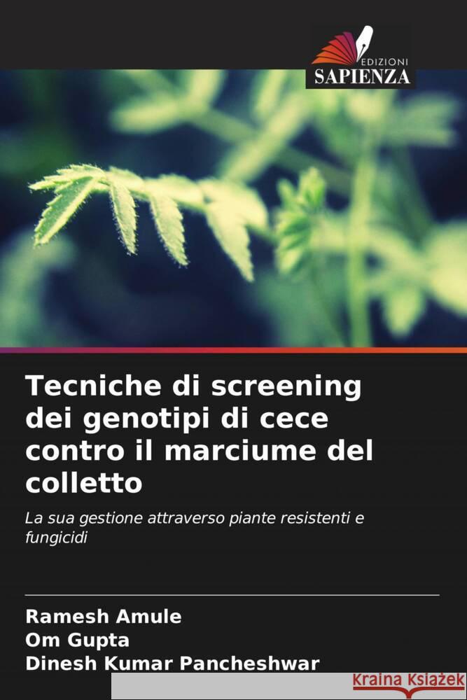 Tecniche di screening dei genotipi di cece contro il marciume del colletto Amule, Ramesh, Gupta, Om, Pancheshwar, Dinesh Kumar 9786208344672