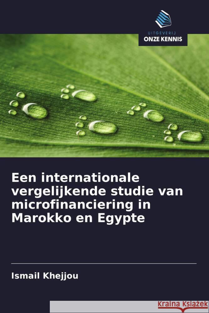 Een internationale vergelijkende studie van microfinanciering in Marokko en Egypte Khejjou, Ismail 9786208350253