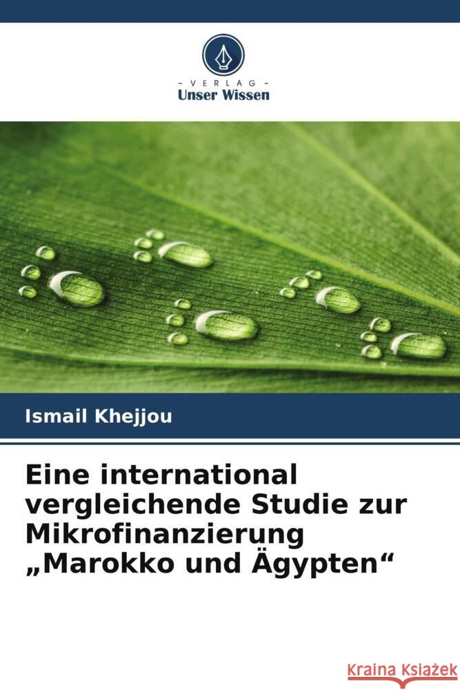 Eine international vergleichende Studie zur Mikrofinanzierung 