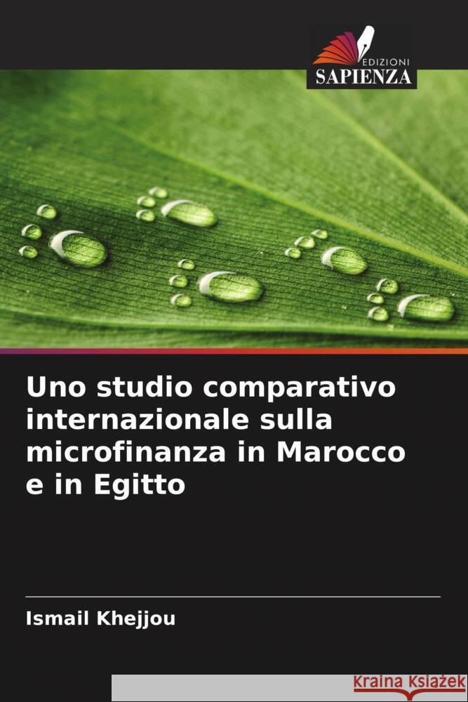 Uno studio comparativo internazionale sulla microfinanza in Marocco e in Egitto Khejjou, Ismail 9786208350291