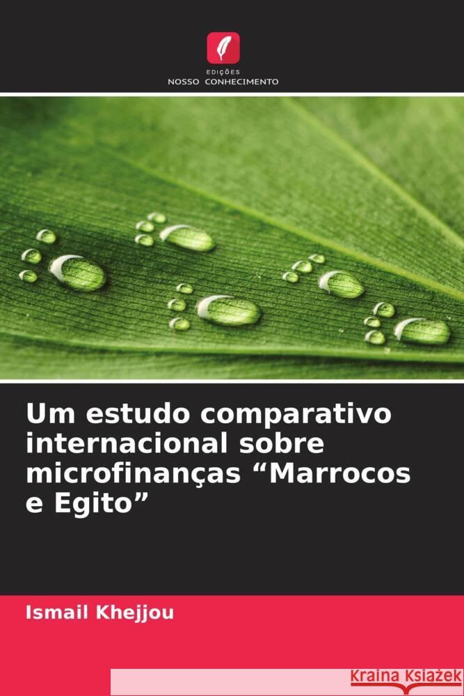 Um estudo comparativo internacional sobre microfinanças 