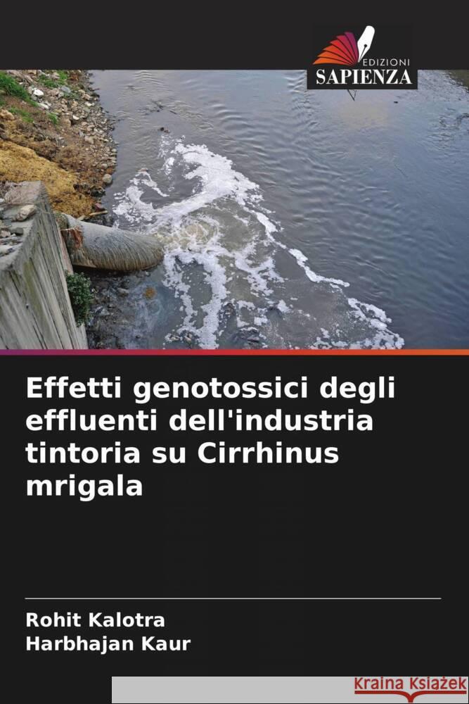 Effetti genotossici degli effluenti dell'industria tintoria su Cirrhinus mrigala Rohit Kalotra Harbhajan Kaur 9786208353599