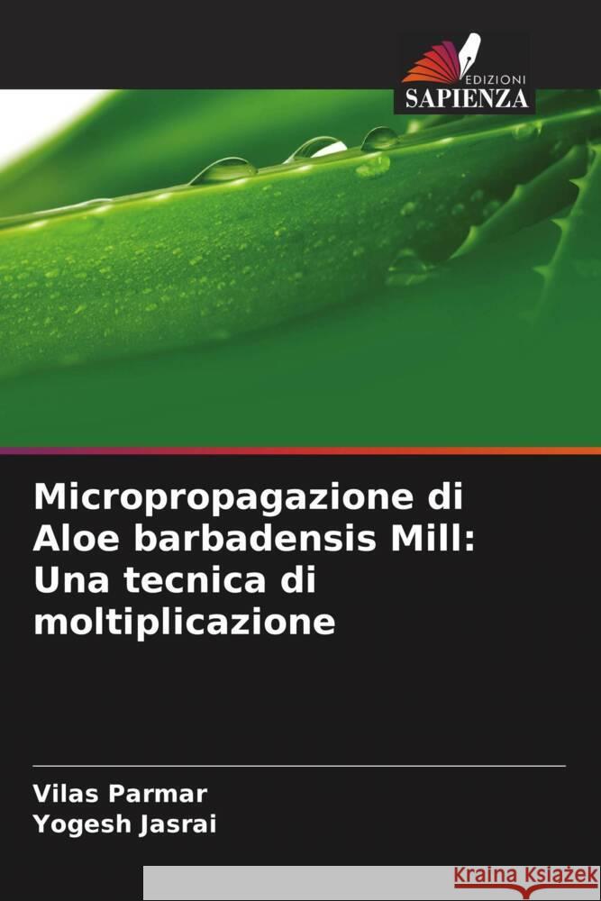 Micropropagazione di Aloe barbadensis Mill: Una tecnica di moltiplicazione Parmar, Vilas, Jasrai, Yogesh 9786208356774 Edizioni Sapienza