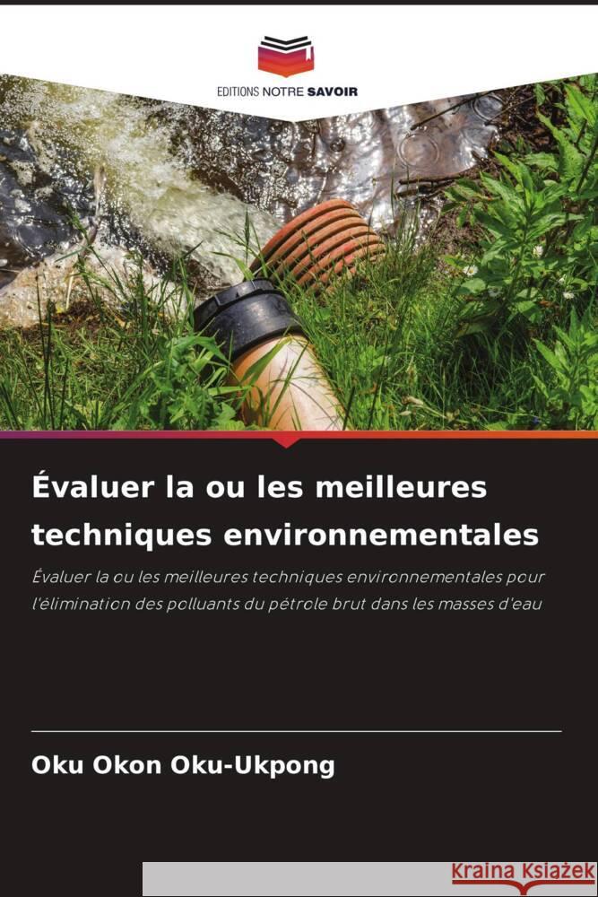 Évaluer la ou les meilleures techniques environnementales Oku-Ukpong, Oku Okon 9786208357894