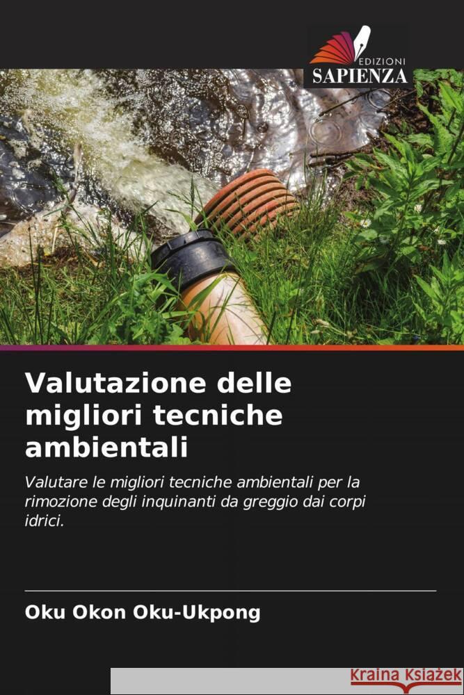 Valutazione delle migliori tecniche ambientali Oku-Ukpong, Oku Okon 9786208357924