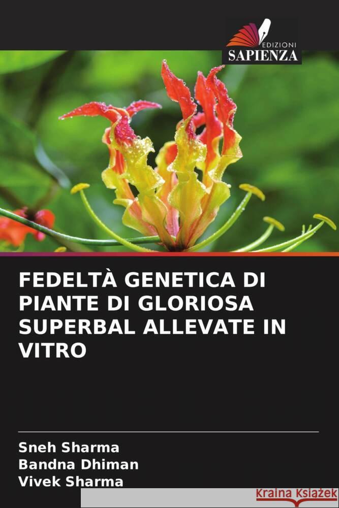 FEDELTÀ GENETICA DI PIANTE DI GLORIOSA SUPERBAL ALLEVATE IN VITRO Sharma, Sneh, Dhiman, Bandna, Sharma, Vivek 9786208379216 Edizioni Sapienza