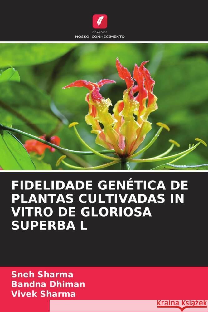 FIDELIDADE GENÉTICA DE PLANTAS CULTIVADAS IN VITRO DE GLORIOSA SUPERBA L Sharma, Sneh, Dhiman, Bandna, Sharma, Vivek 9786208379223 Edições Nosso Conhecimento