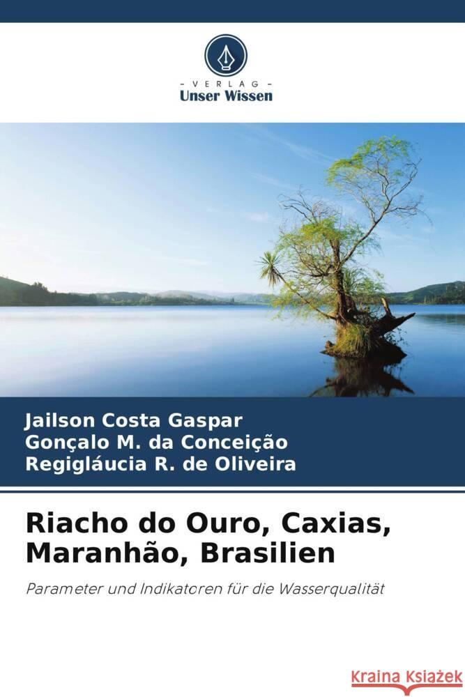 Riacho do Ouro, Caxias, Maranhão, Brasilien Costa Gaspar, Jailson, da Conceição, Gonçalo M., de Oliveira, Regigláucia R. 9786208383381