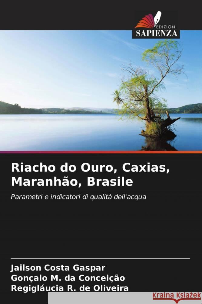 Riacho do Ouro, Caxias, Maranhão, Brasile Costa Gaspar, Jailson, da Conceição, Gonçalo M., de Oliveira, Regigláucia R. 9786208383428