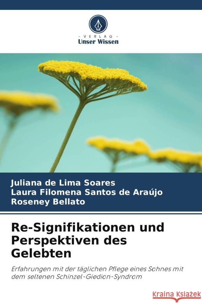 Re-Signifikationen und Perspektiven des Gelebten de Lima Soares, Juliana, Santos de Araújo, Laura Filomena, Bellato, Roseney 9786208389598