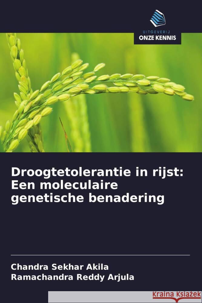 Droogtetolerantie in rijst: Een moleculaire genetische benadering Akila, Chandra Sekhar, Arjula, Ramachandra Reddy 9786208390631 Uitgeverij Onze Kennis