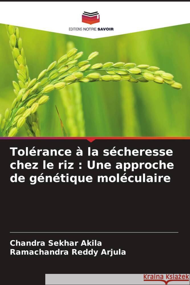 Tolérance à la sécheresse chez le riz : Une approche de génétique moléculaire Akila, Chandra Sekhar, Arjula, Ramachandra Reddy 9786208390662 Editions Notre Savoir