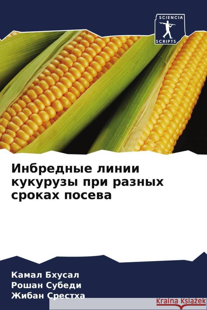 Inbrednye linii kukuruzy pri raznyh srokah posewa Bhusal, Kamal, Subedi, Roshan, Srestha, Zhiban 9786208561994