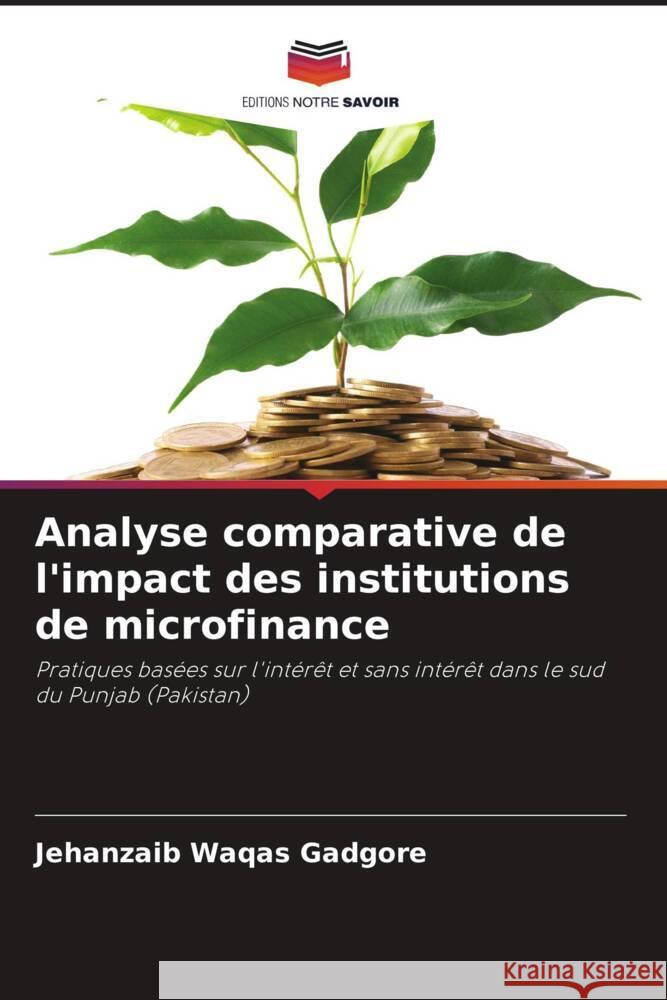 Analyse comparative de l'impact des institutions de microfinance Gadgore, Jehanzaib Waqas 9786208566180 Editions Notre Savoir
