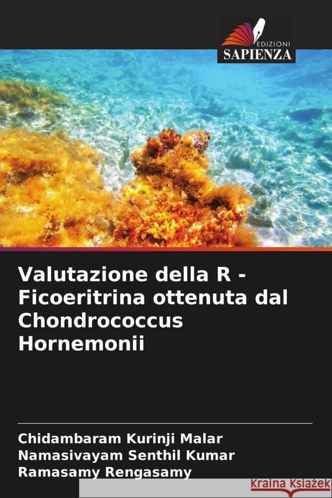 Valutazione della R - Ficoeritrina ottenuta dal Chondrococcus Hornemonii Kurinji Malar, Chidambaram, Senthil Kumar, Namasivayam, Rengasamy, Ramasamy 9786208567514