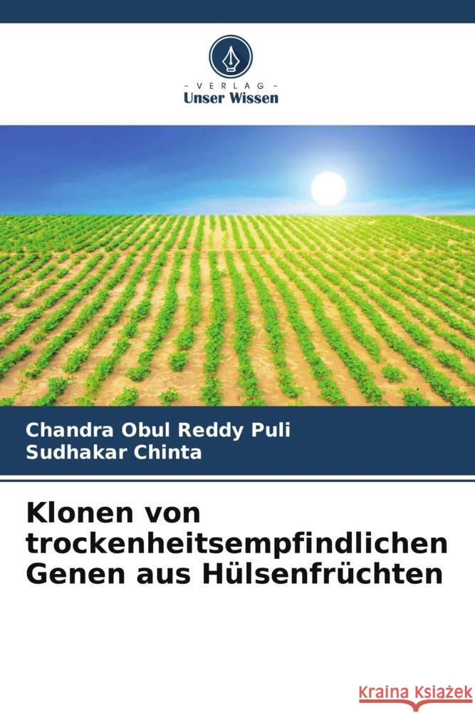 Klonen von trockenheitsempfindlichen Genen aus Hülsenfrüchten Puli, Chandra Obul Reddy, Chinta, Sudhakar 9786208571900