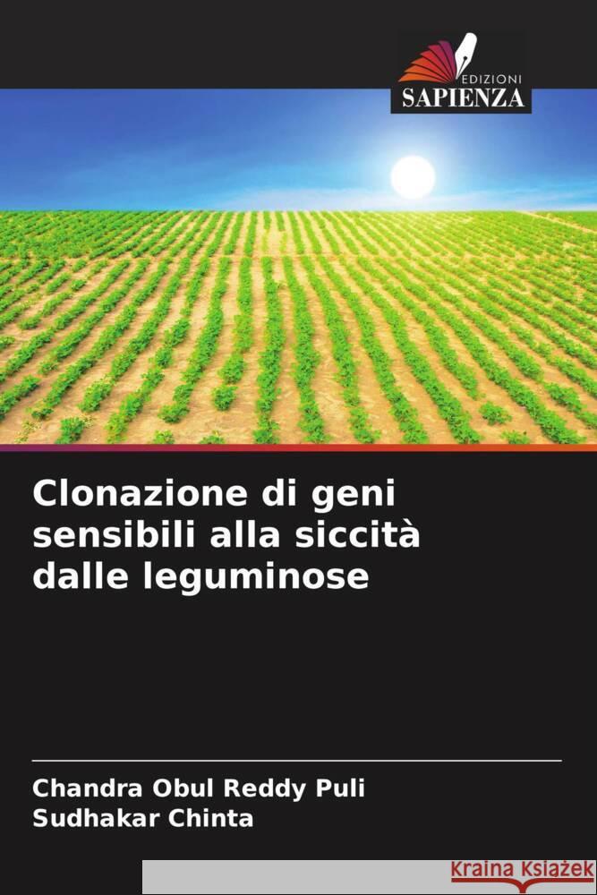 Clonazione di geni sensibili alla siccità dalle leguminose Puli, Chandra Obul Reddy, Chinta, Sudhakar 9786208571948