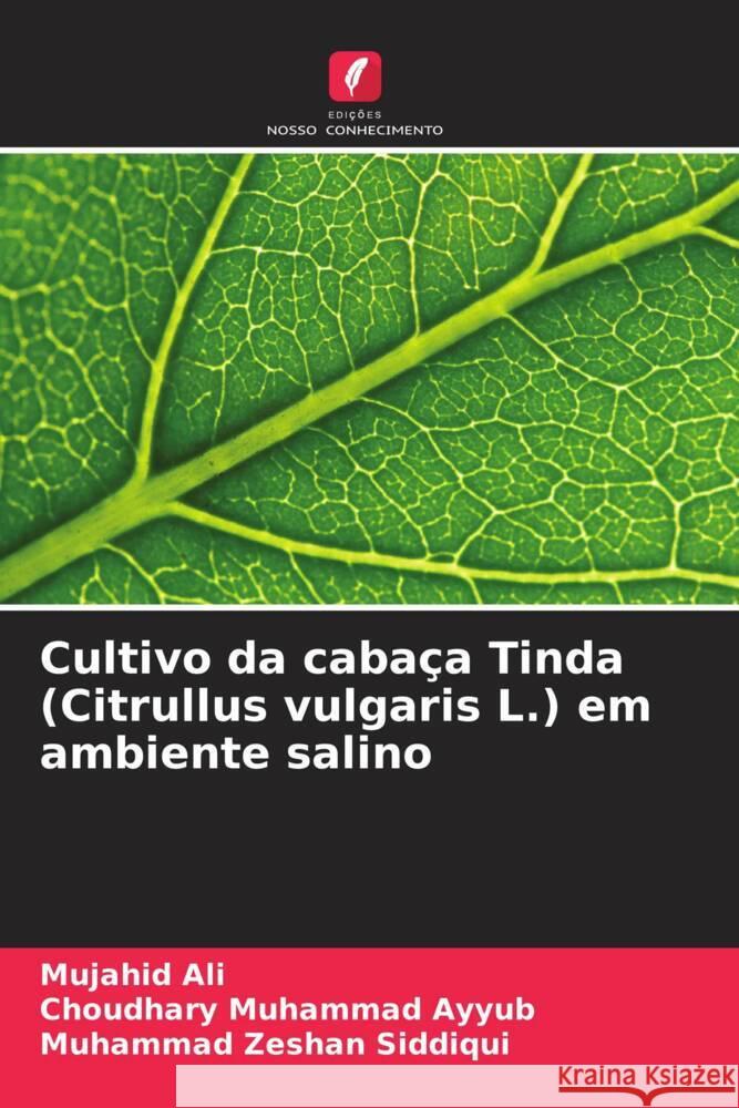 Cultivo da cabaça Tinda (Citrullus vulgaris L.) em ambiente salino Ali, Mujahid, Ayyub, Choudhary Muhammad, Siddiqui, Muhammad Zeshan 9786208573034