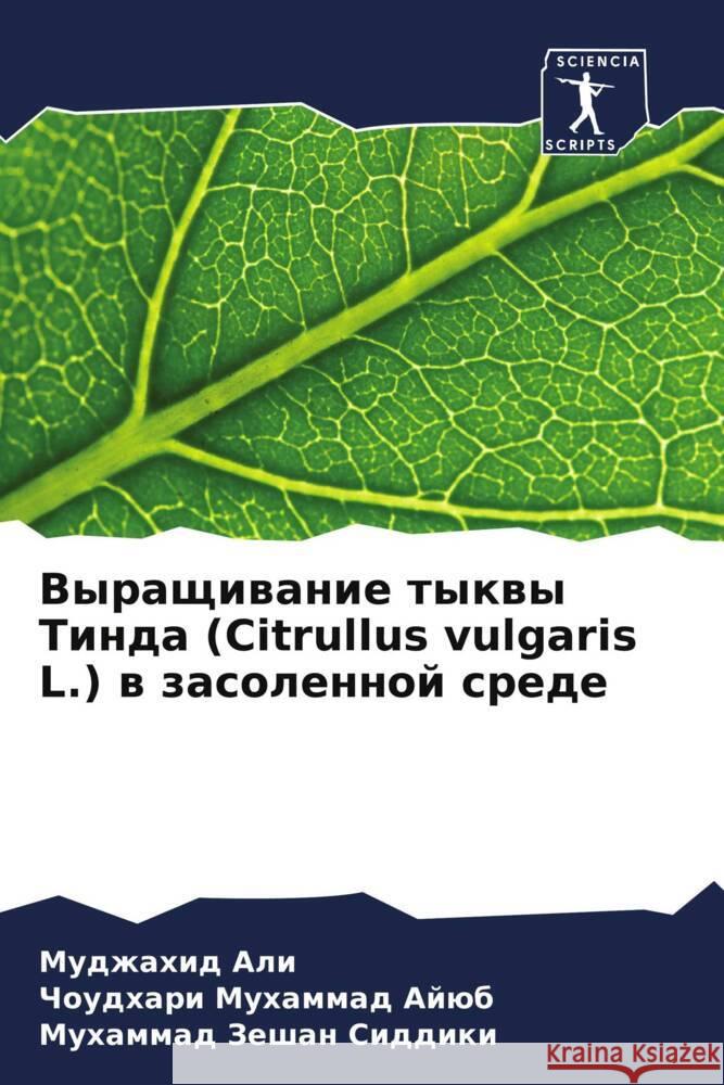 Vyraschiwanie tykwy Tinda (Citrullus vulgaris L.) w zasolennoj srede Ali, Mudzhahid, Ajüb, Choudhari Muhammad, Siddiki, Muhammad Zeshan 9786208573041