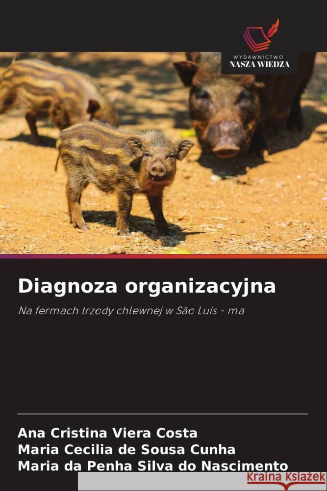 Diagnoza organizacyjna Ana Cristina Viera Costa Maria Cecilia de Sousa Cunha Maria Da Penha Silva Do Nascimento 9786208577957