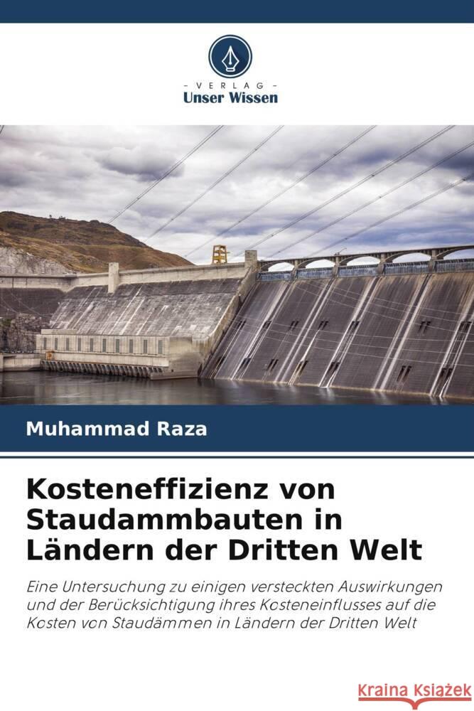 Kosteneffizienz von Staudammbauten in Ländern der Dritten Welt Raza, Muhammad 9786208599249