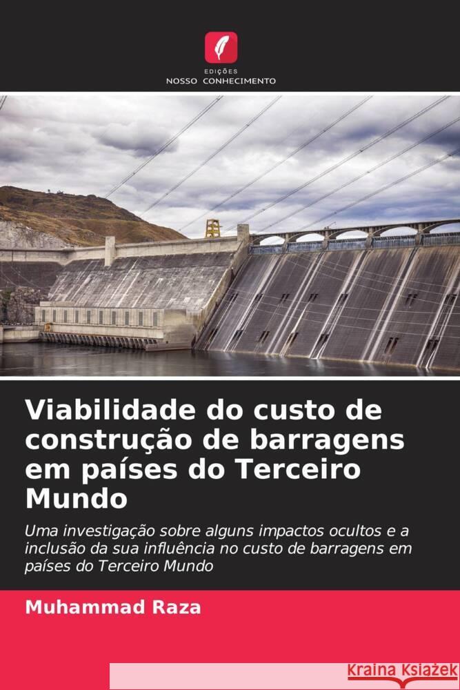 Viabilidade do custo de construção de barragens em países do Terceiro Mundo Raza, Muhammad 9786208599317