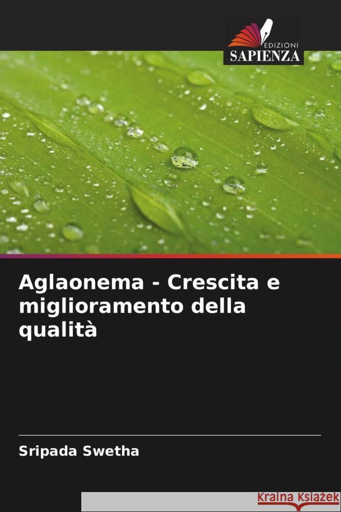 Aglaonema - Crescita e miglioramento della qualità Swetha, Sripada 9786208603236