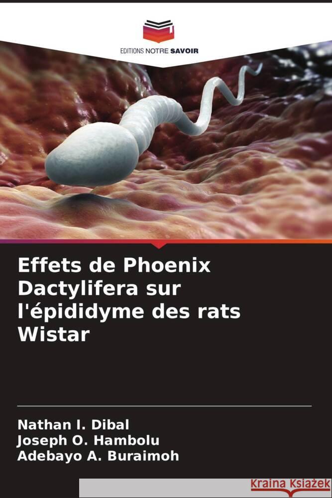 Effets de Phoenix Dactylifera sur l'?pididyme des rats Wistar Nathan I. Dibal Joseph O. Hambolu Adebayo A. Buraimoh 9786208614119