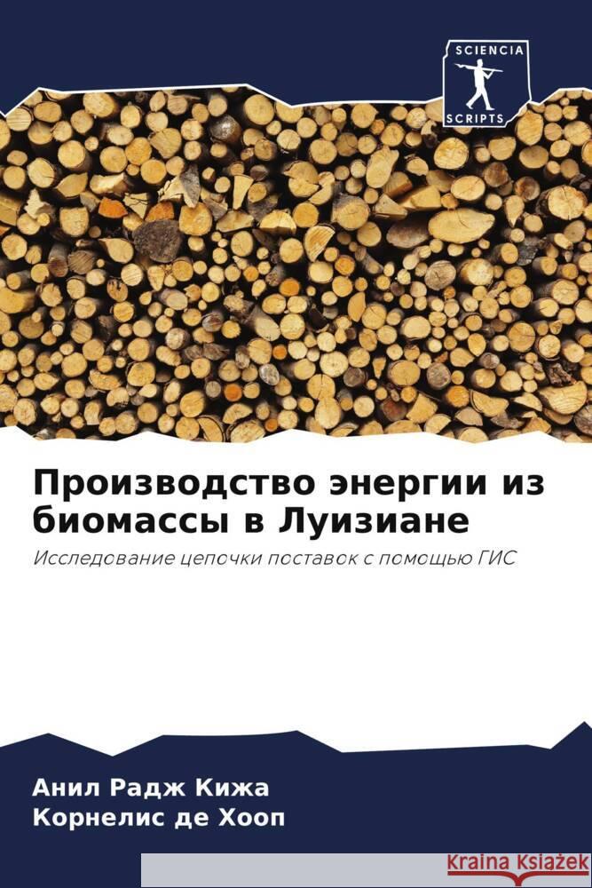 Proizwodstwo änergii iz biomassy w Luiziane Kizha, Anil Radzh, de Hoop, Kornelis 9786208621223