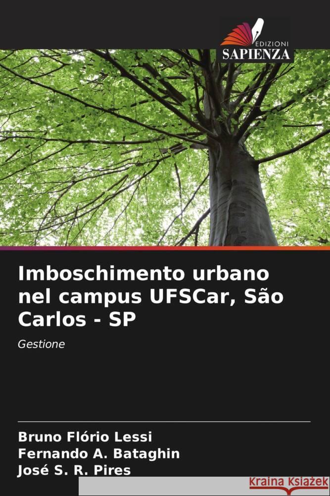 Imboschimento urbano nel campus UFSCar, São Carlos - SP Flório Lessi, Bruno, A. Bataghin, Fernando, S. R. Pires, José 9786208634377