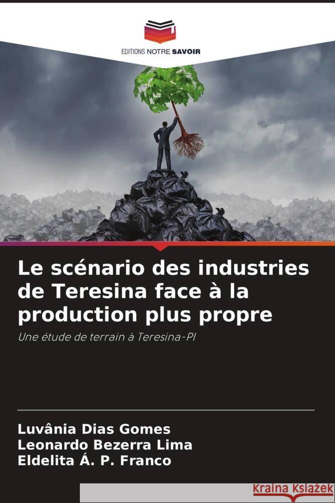 Le scénario des industries de Teresina face à la production plus propre Dias Gomes, Luvânia, Bezerra Lima, Leonardo, Á. P. Franco, Eldelita 9786208638665