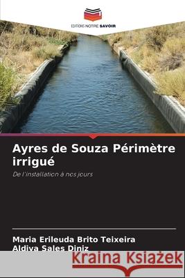 Ayres de Souza Périmètre irrigué Teixeira, Maria Erileuda Brito, Diniz, Aldiva Sales 9786208668518