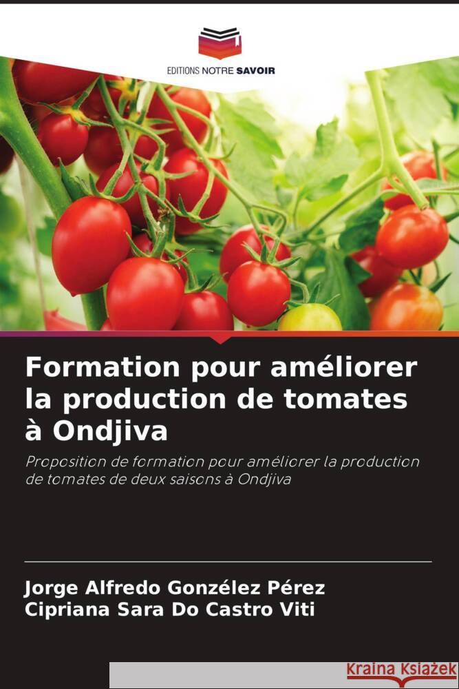 Formation pour améliorer la production de tomates à Ondjiva Gonzélez Pérez, Jorge Alfredo, Do Castro Viti, Cipriana Sara 9786208694975